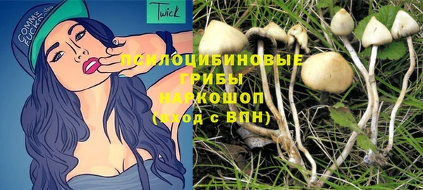 гидропоника Карпинск