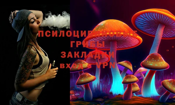 гидропоника Карпинск