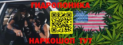 ГАЛЛЮЦИНОГЕННЫЕ ГРИБЫ Аргун