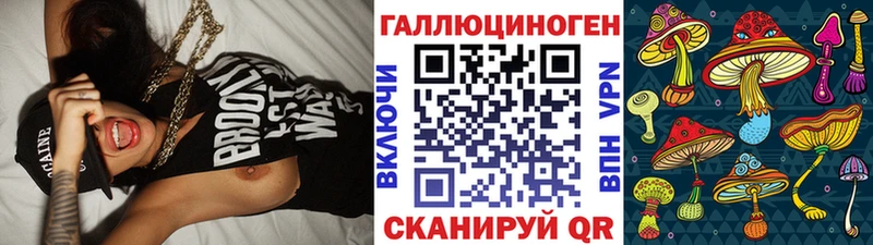 купить   Москва  Галлюциногенные грибы Psilocybine cubensis 