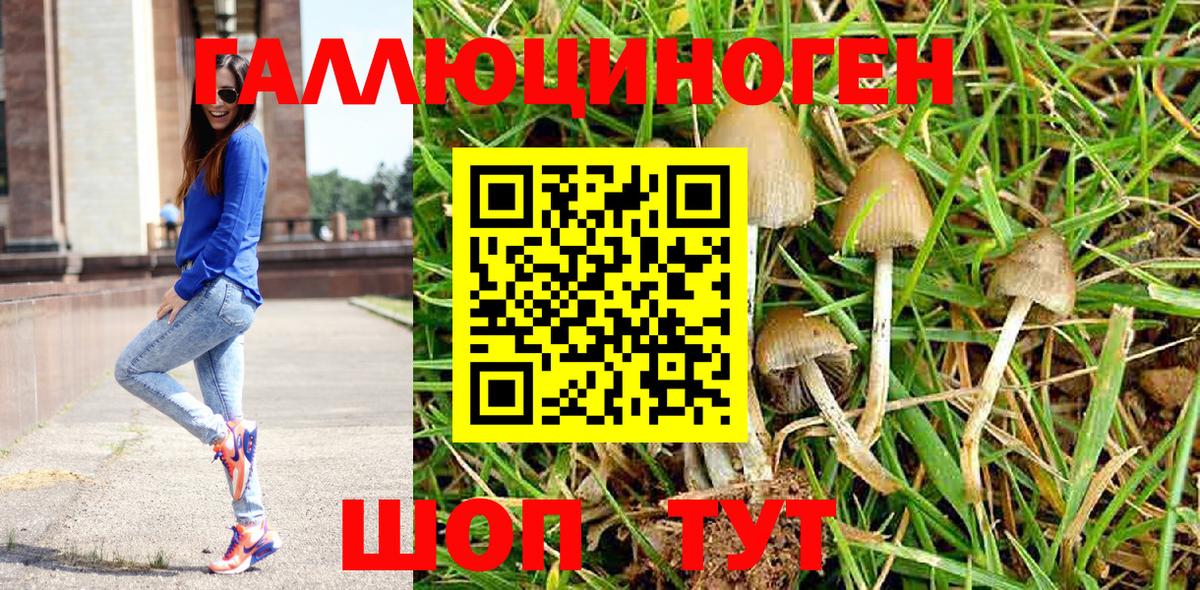 Псилоцибиновые грибы Psilocybe  купить  сайты  Москва 