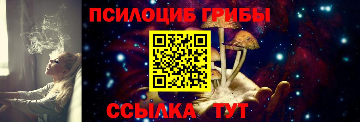 Москва  Галлюциногенные грибы Cubensis  Вход с VPN 