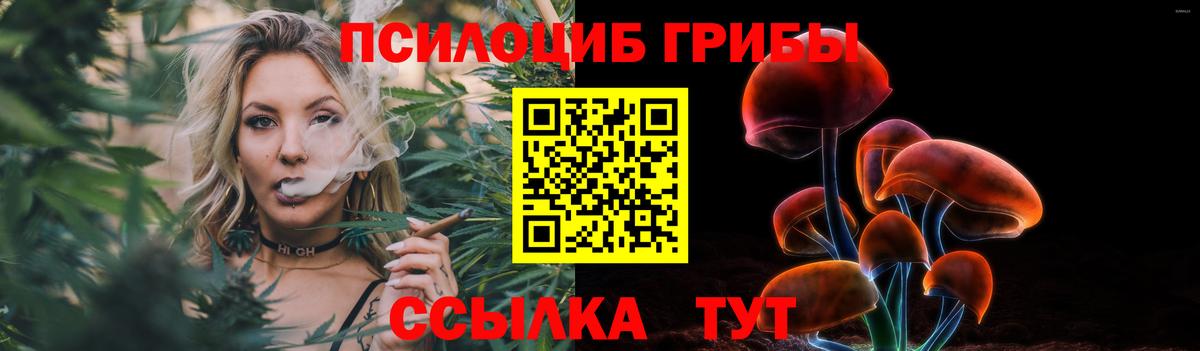 Псилоцибиновые грибы мицелий Москва